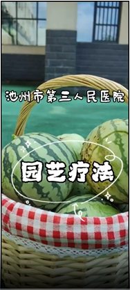 心情烦躁，试试这个“绿色处方”吧！#园艺疗法#在方寸之间，耕耘内心的花园。